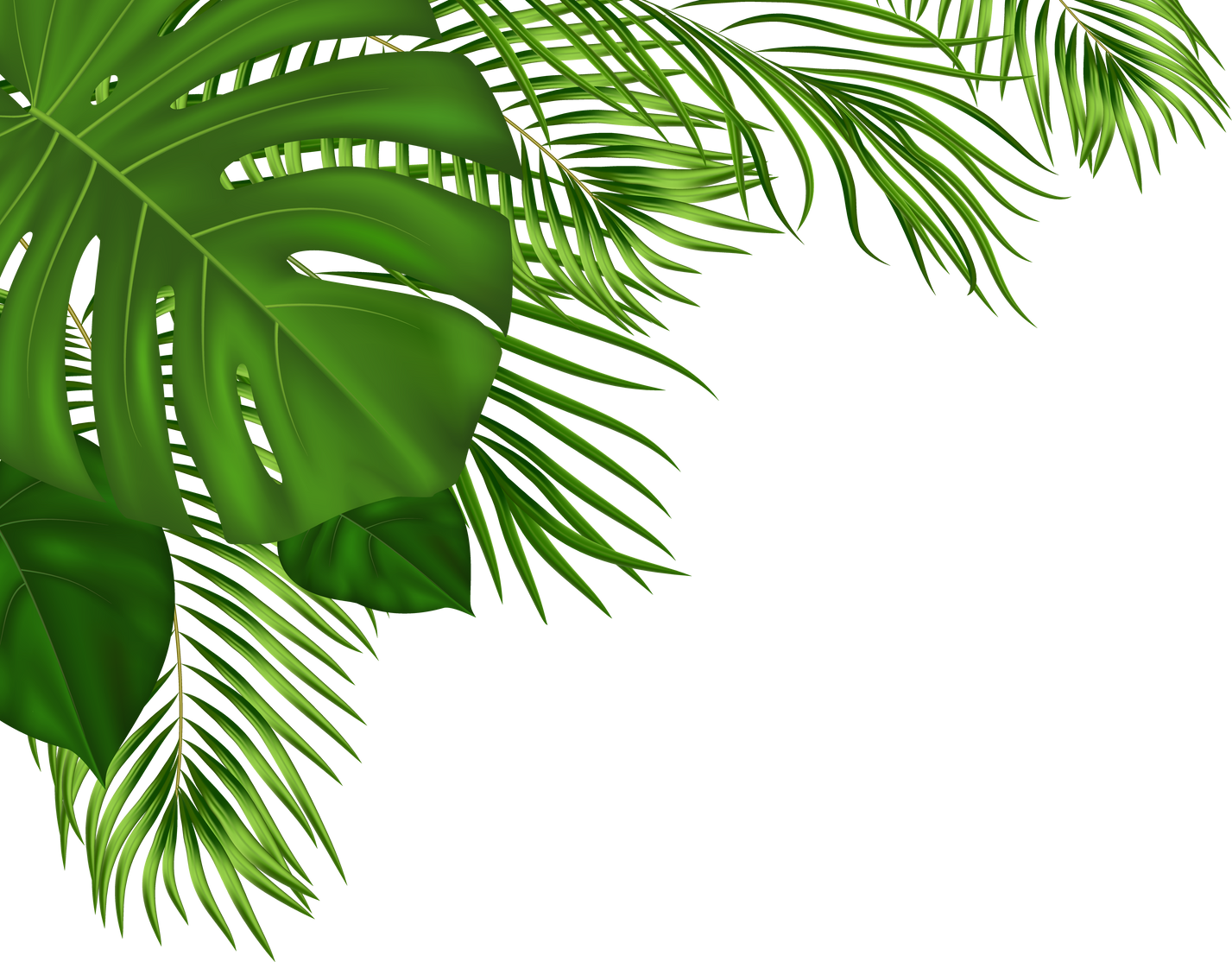 Summer Tropical Background with Green Palm Leaves